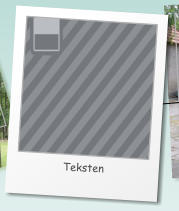 Teksten